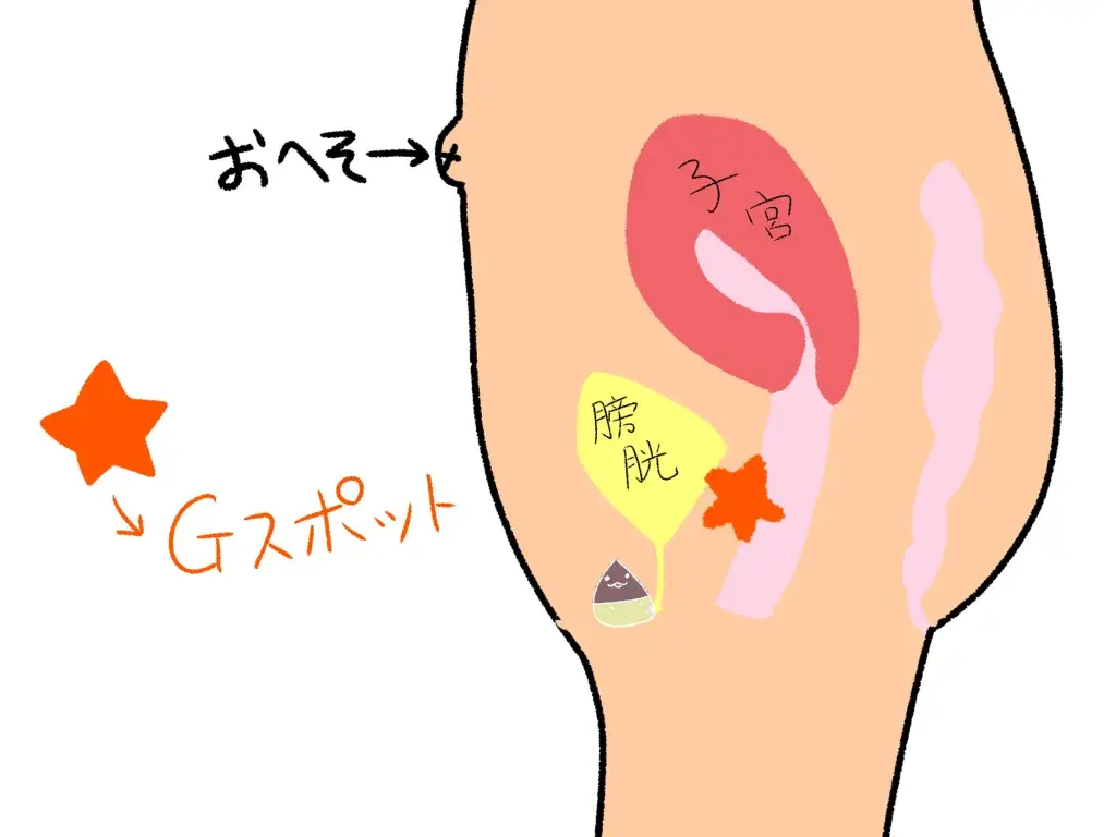 Gスポットで膣オナニー